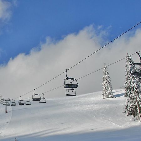 Holzbox Niederalpl Apart otel Mürzsteg Dış mekan fotoğraf