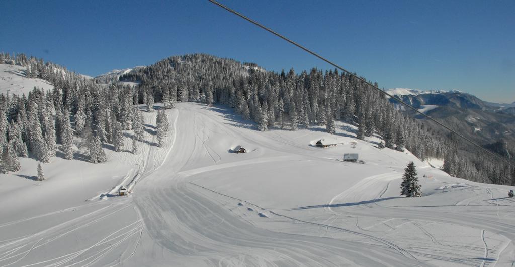 Holzbox Niederalpl Apart otel Mürzsteg Dış mekan fotoğraf