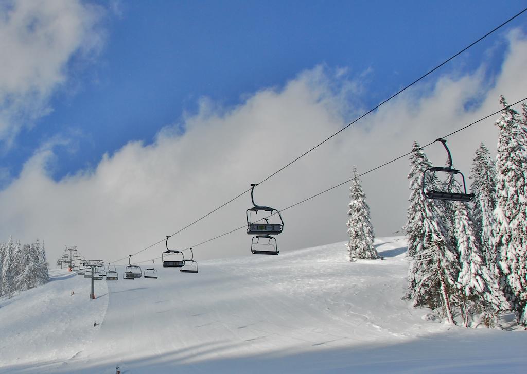 Holzbox Niederalpl Apart otel Mürzsteg Dış mekan fotoğraf